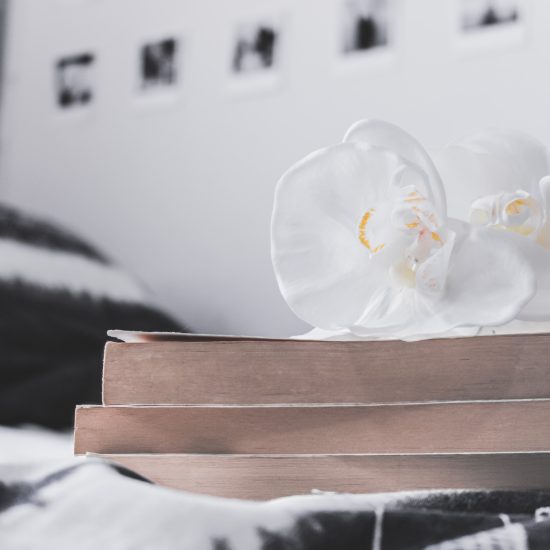 Foto de portada de mis propósitos lectores para 2020 con tres libros sobre una cama y una flor blanca encima decorando la foto